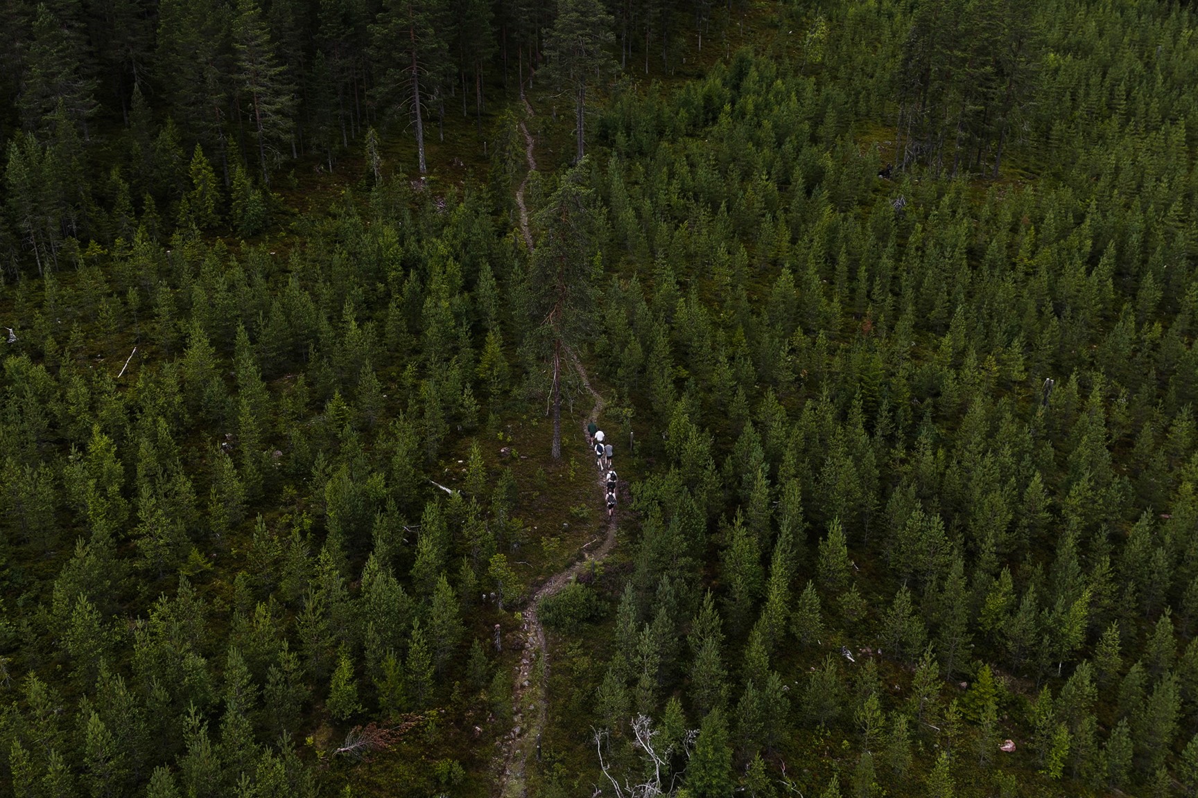 Zweden